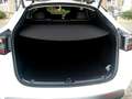 Tesla Model Y Model Y RWD 58 kWh - thumbnail 9