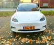 Tesla Model Y Model Y RWD 58 kWh - thumbnail 4