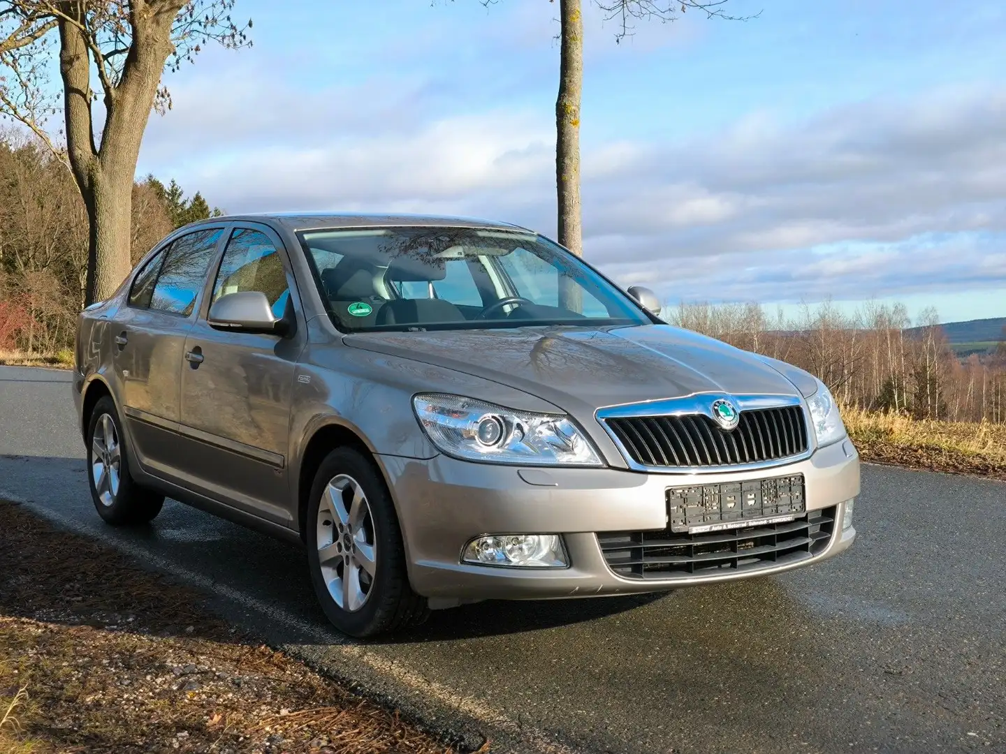 Skoda Octavia Limousine Family Sitzheizung Klimaaut. Beige - 1