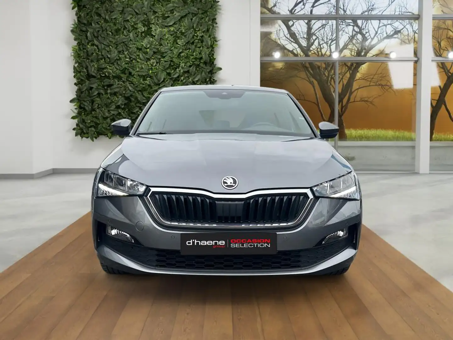 Skoda Scala Scala Ambition 1.0 TSI 70kW (95ch) 5v Man. Gris - 2