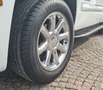 GMC Yukon YUKON 6.2 DENALI/GPL/PELLE/2 DVD/CERCHI 20/GANCIO Weiß - thumbnail 5