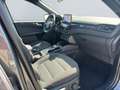Ford Kuga 2.0 EcoBlue ST-LINE *Kamera*SHZ 4x*el Heck* Grau - thumbnail 20