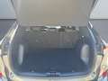 Ford Kuga 2.0 EcoBlue ST-LINE *Kamera*SHZ 4x*el Heck* Grau - thumbnail 17