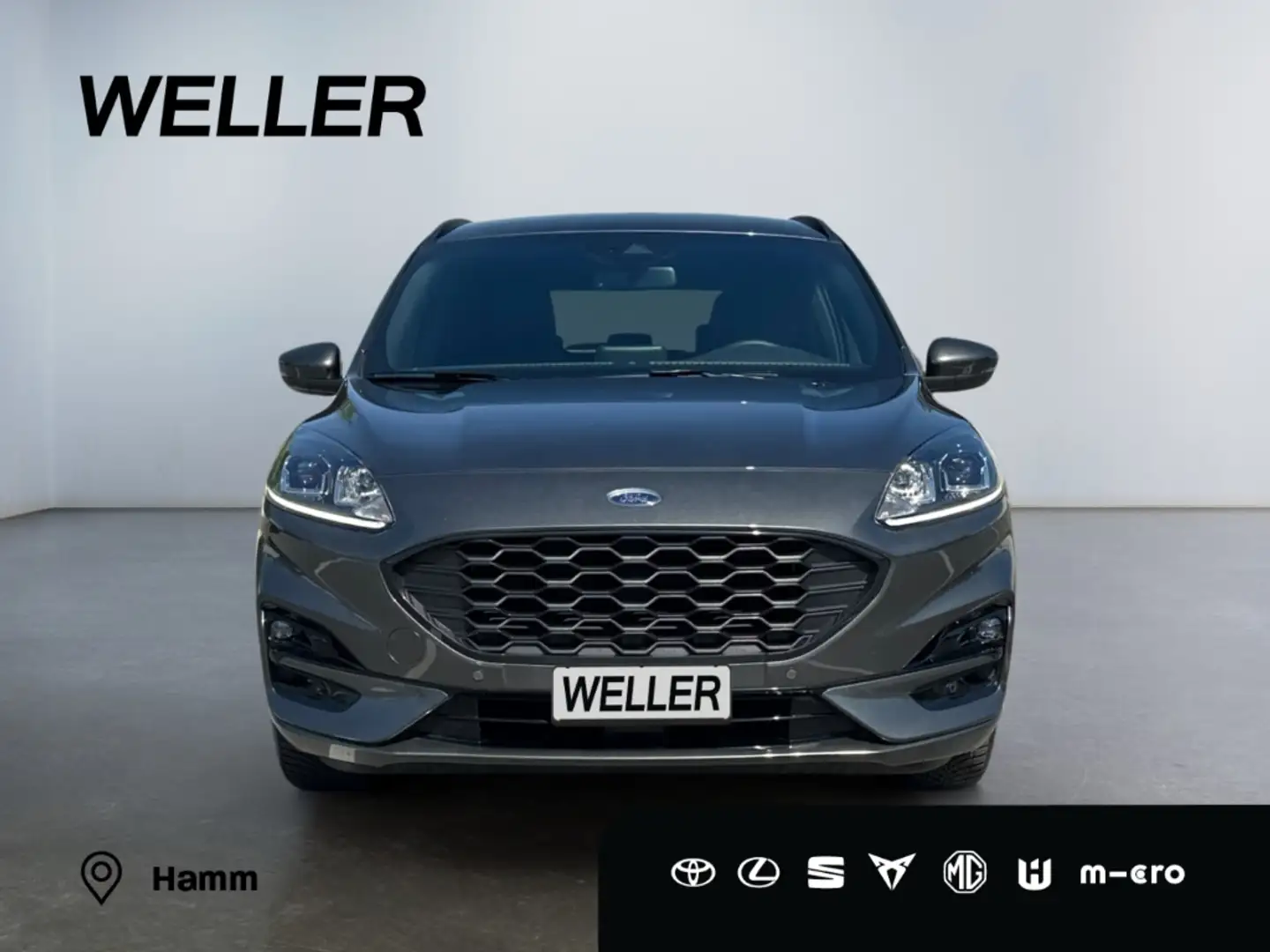 Ford Kuga 2.0 EcoBlue ST-LINE *Kamera*SHZ 4x*el Heck* Grau - 2