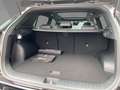 Kia Sportage Nightline Edition 1.6 T-GDI MHEV DCT Glasdach Schwarz - thumbnail 12