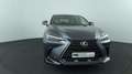 Lexus NX 450h+ AWD Executive Line, Pano, HUD! Grau - thumbnail 8