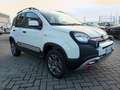 Fiat Panda Panda Cross 0.9 TwinAir Turbo S&S 4x4 Weiß - thumbnail 3