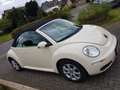 Volkswagen New Beetle New Beetle Cabriolet 1.6 United Beżowy - thumbnail 5