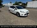 Ford Focus 1,6 Focus * LIMOUSINE* EDITION * 150-PS * Blanco - thumbnail 3