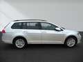 Volkswagen Golf Variant 1.4 TSI Cup Allwetter Shz Pdc Silber - thumbnail 3