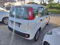 Fiat Panda 1.2 Lounge easypower Gpl 69cv Bianco - thumbnail 5