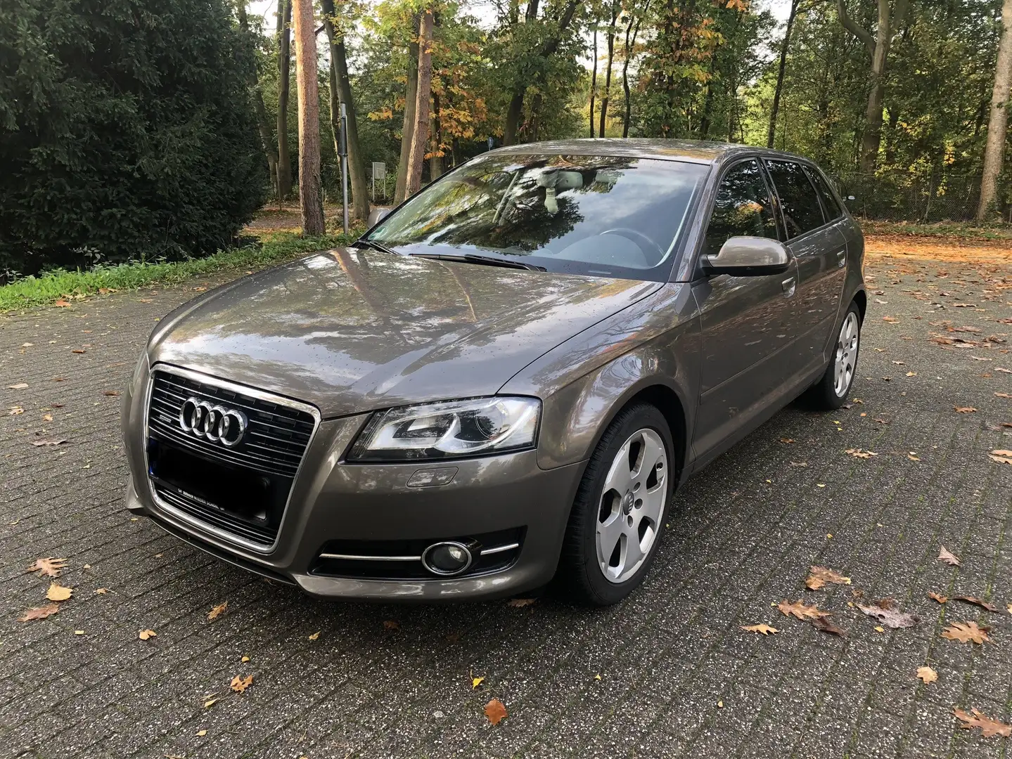 Audi A3 2.0 TDI quattro Sportback NaviPlus Xenonlicht LED Grau - 1