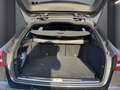 Mercedes-Benz C 300 T AMG-Line Burm|MBeam|SDach|TWA|Kam|CarPlay Grau - thumbnail 6