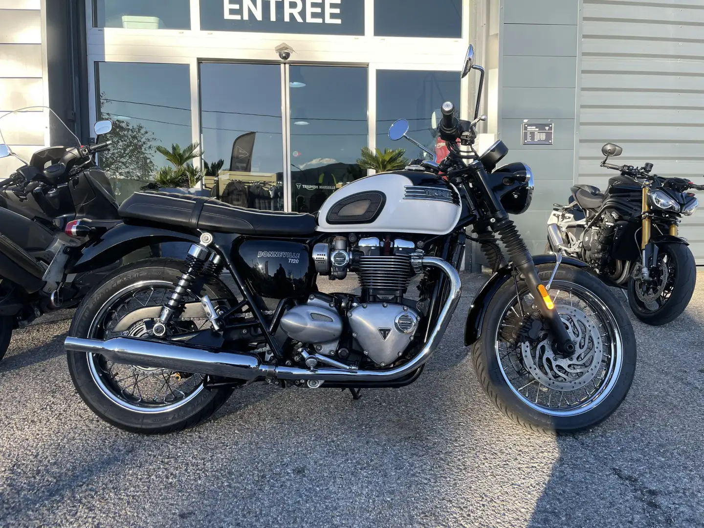 Triumph Bonneville T120 Blanc - 1