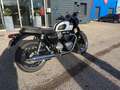 Triumph Bonneville T120 Blanc - thumbnail 3