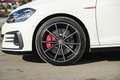 Volkswagen Golf GTI TCR 2,0 TSI DSG /VIRTUAL/RFK/ACC/LED/PDC Weiß - thumbnail 10