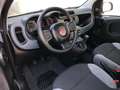 Fiat Panda Panda 1.0 firefly hybrid s&s 70cv * SUPER PROMO Szürke - thumbnail 7
