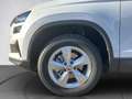 Skoda Karoq Selection TSI Weiß - thumbnail 15