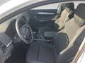 Skoda Karoq Selection TSI Weiß - thumbnail 7