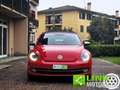 Volkswagen Maggiolino Cabrio 2.0 TDI 110 CV Rosso - thumbnail 7
