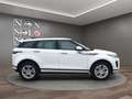 Land Rover Range Rover Evoque Range Rover Evoque 2.0d R-Dynamic S awd 163cv auto Blanc - thumbnail 5