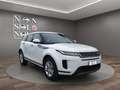 Land Rover Range Rover Evoque Range Rover Evoque 2.0d R-Dynamic S awd 163cv auto Blanc - thumbnail 2