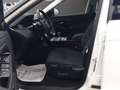 Land Rover Range Rover Evoque Range Rover Evoque 2.0d R-Dynamic S awd 163cv auto Blanc - thumbnail 10