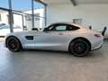 Mercedes-Benz AMG GT Performance Panorama Silber - thumbnail 9