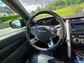 Land Rover Discovery 5 First Edit TD6 LED Leder 7 Sitzer UVP 83T€ Zwart - thumbnail 14