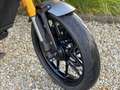 Triumph Speed 400 Blauw - thumbnail 3