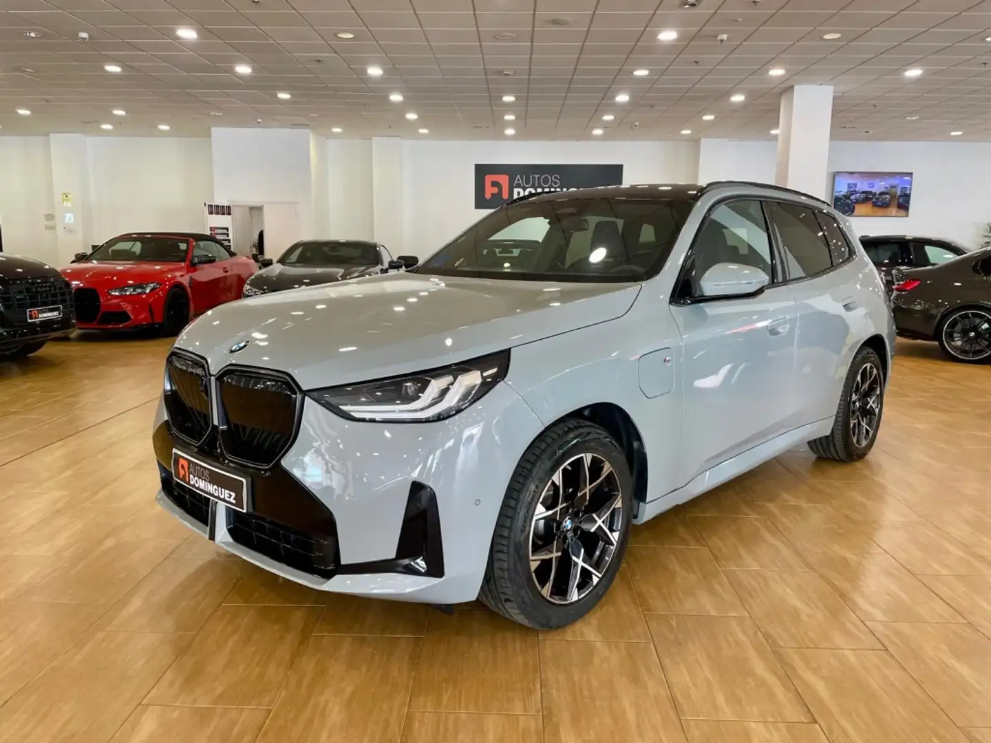 BMW X3 xDrive 30e Gris - 1