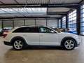 Audi A6 allroad A6 ALLROAD 3.0TDI QUATTRO NAVI XENON BOSE CAMERA Blanc - thumbnail 4