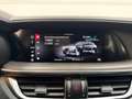 Alfa Romeo Stelvio Stelvio 2.2 Turbodiesel 210 CV AT8 Q4 Ti Blu/Azzurro - thumbnail 9