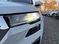Skoda Karoq 1.5 TSI DSG TOUR *LED *RKAM *VIRTUAL *CARPLAY *SH Weiß - thumbnail 6