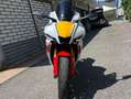Yamaha YZF-R1 Bianco - thumbnail 3