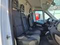 Fiat Ducato MAXI ALLESTITO 35 PM TB 2.3 130 CV EURO 6 Bianco - thumbnail 8