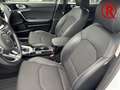 Kia XCeed Vision Plug-in Hybrid 1.6 Navi Mehrzonenklima Lenk Weiß - thumbnail 14