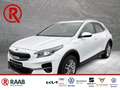 Kia XCeed Vision Plug-in Hybrid 1.6 Navi Mehrzonenklima Lenk Weiß - thumbnail 1