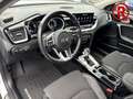 Kia XCeed Vision Plug-in Hybrid 1.6 Navi Mehrzonenklima Lenk Weiß - thumbnail 15