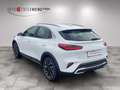 Kia XCeed 1.5 T-GDI OPF DCT7 VISION Vision mit Komfort-Paket Alb - thumbnail 8