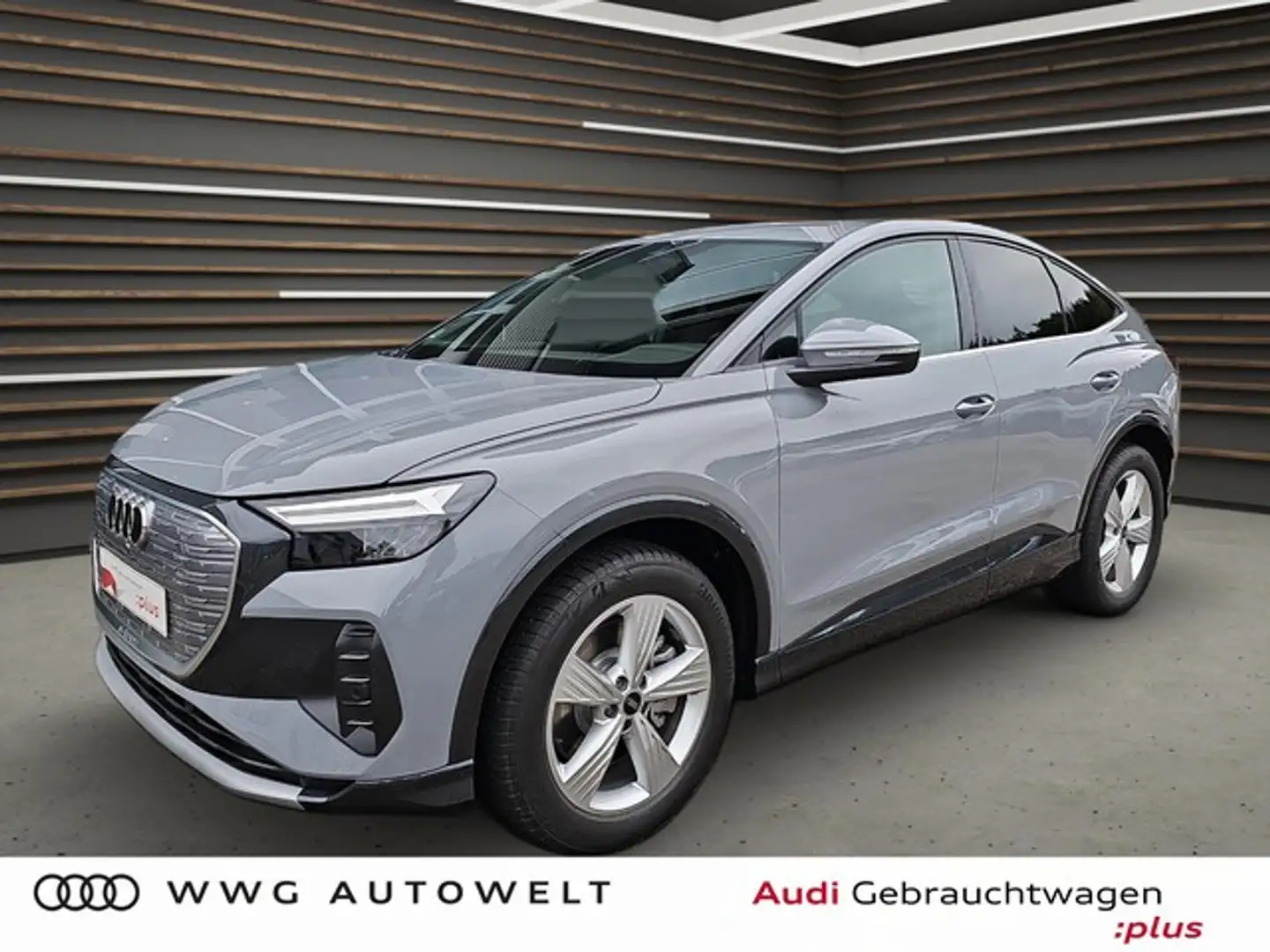 Audi e-tron 55 quattro Navi LED Grau - 1