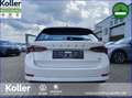 Skoda Octavia Octavia Combi 1.4 TSI IV DSG Style Navi eHK ACC Weiß - thumbnail 4