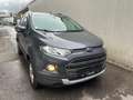 Ford EcoSport 1,0 EcoBoost Trend Grau - thumbnail 2