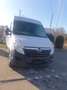 Opel Movano HKa L2H2 3,5t Weiß - thumbnail 2