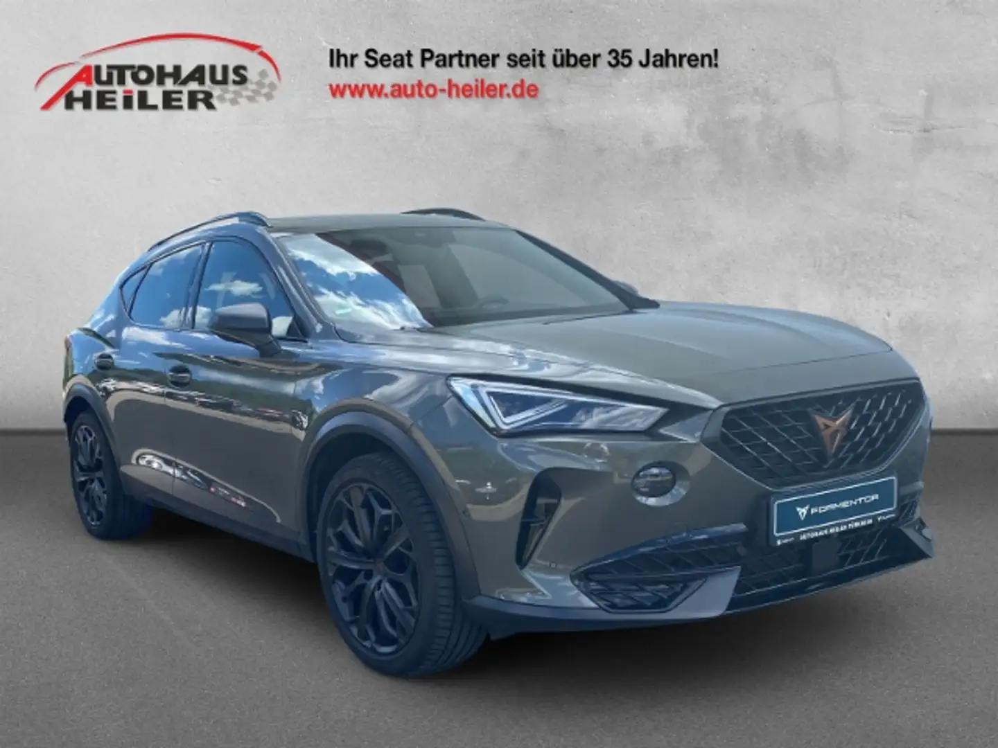CUPRA Formentor VZ Sondermodell Tribe Ed. 2.0 TSI Pano Matrix Navi Gris - 1