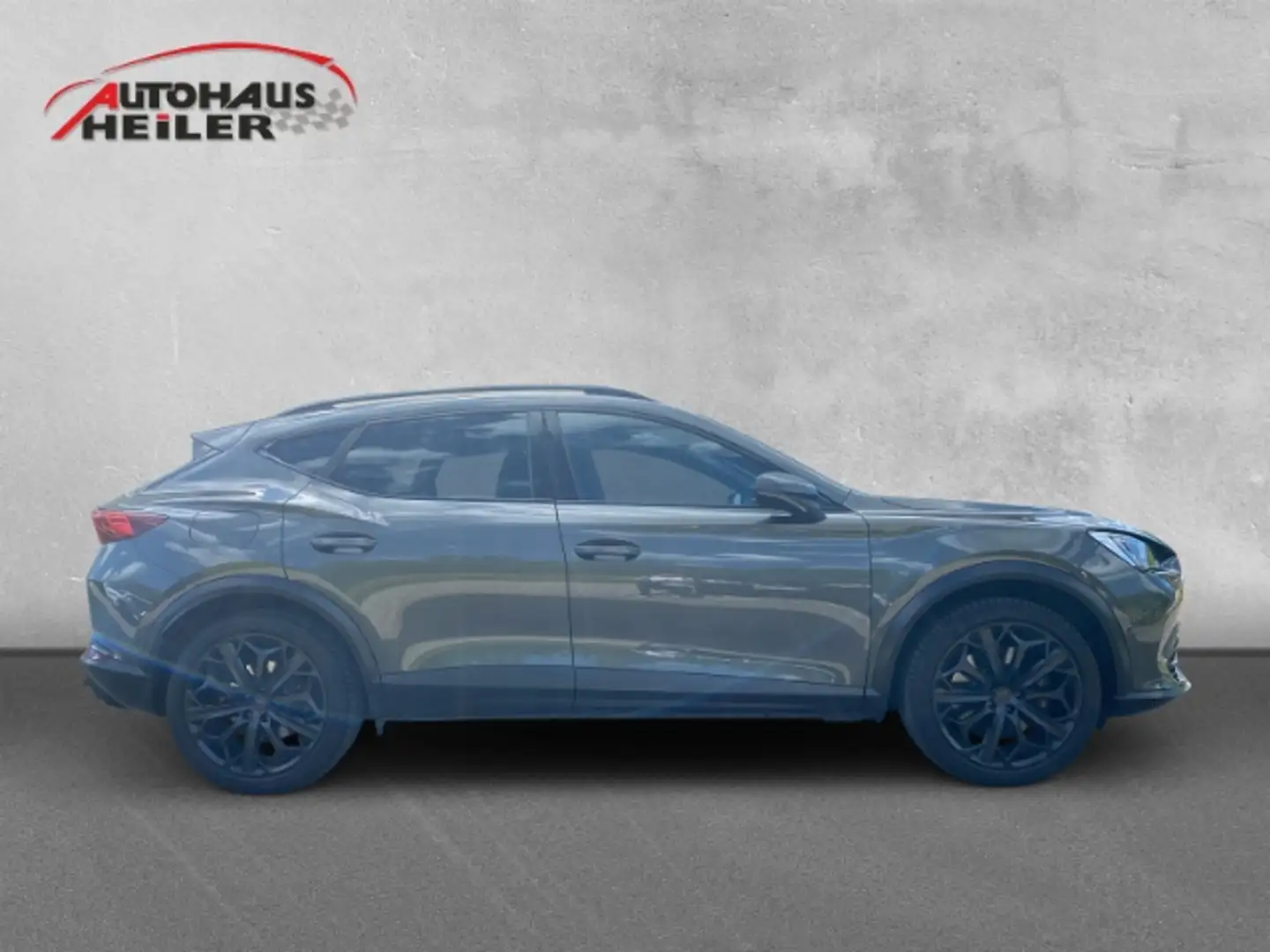 CUPRA Formentor VZ Sondermodell Tribe Ed. 2.0 TSI Pano Matrix Navi Gris - 2