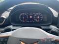 CUPRA Formentor VZ Sondermodell Tribe Ed. 2.0 TSI Pano Matrix Navi Gris - thumbnail 12