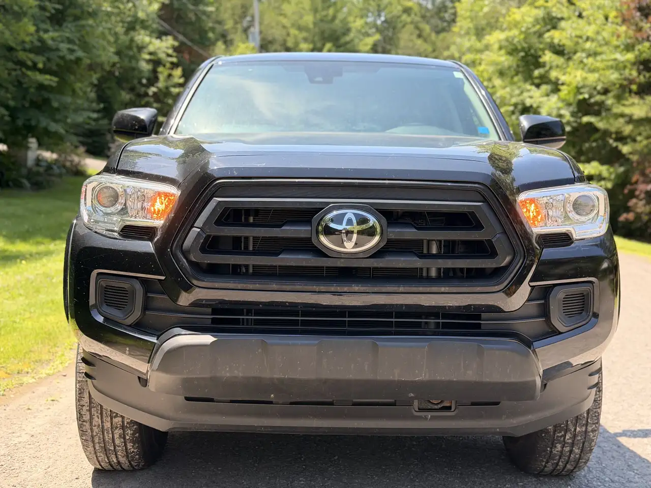 Toyota Tacoma fotografie Toyota Tacoma