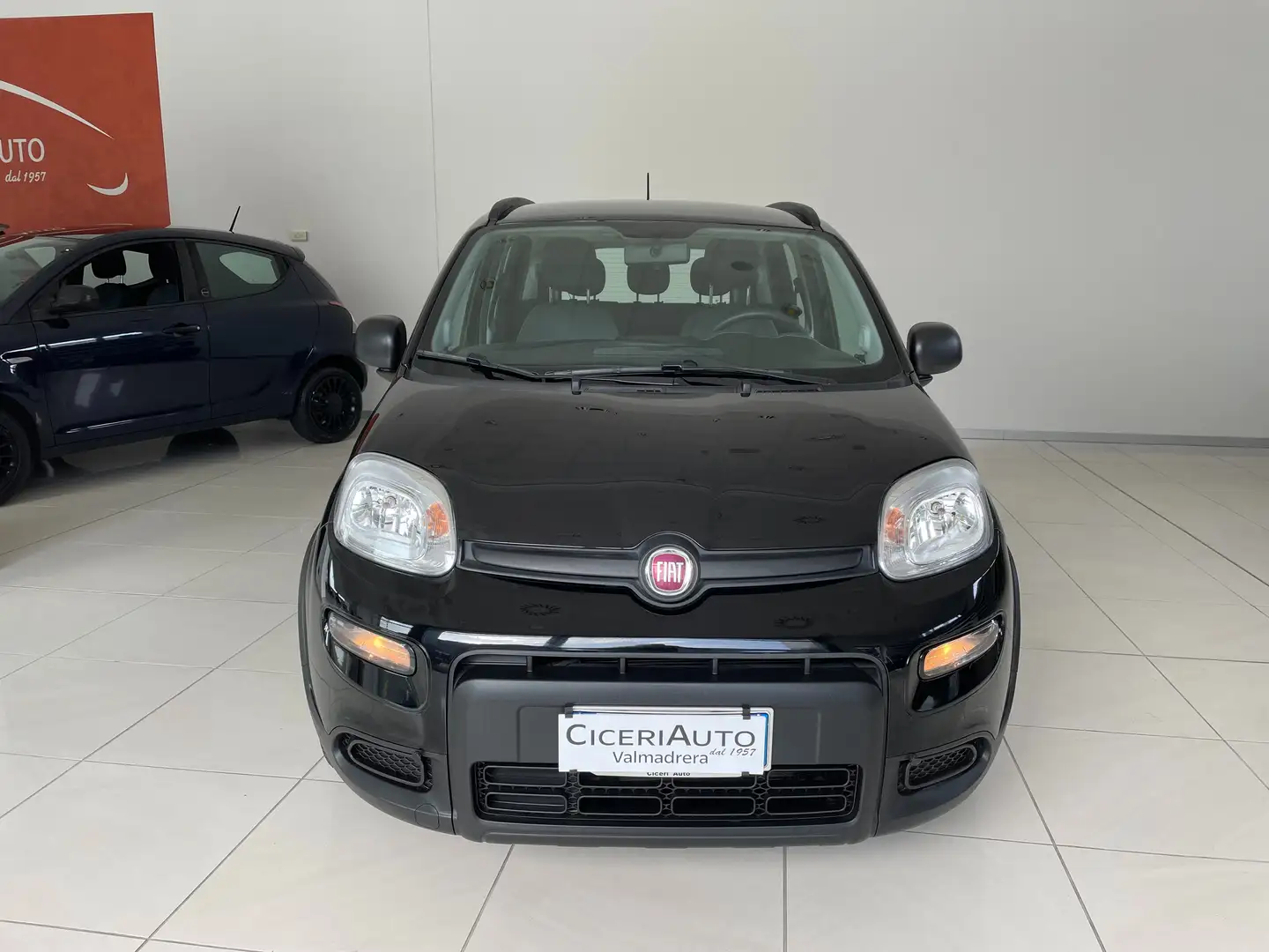 Fiat Panda 1.0 firefly hybrid City Life Prezzo promo Finanz. Negro - 2