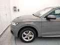 Audi Q5 Q5 40 TDI quattro S tronic Business Sport Grigio - thumbnail 8